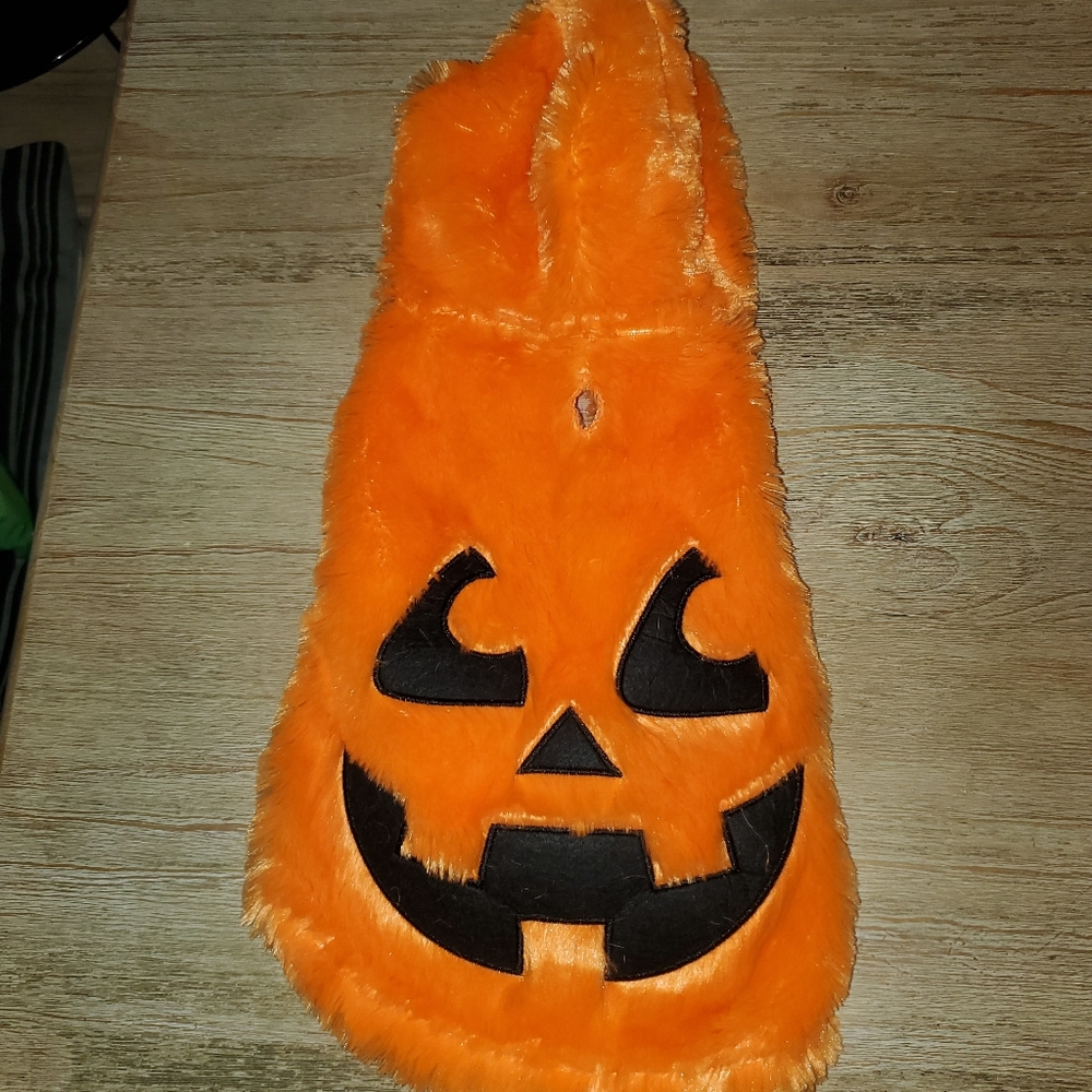 Pumpkin dog outfit